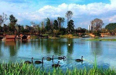 贵州花果园爆料案件最新,惊现惊人内幕,真相即将揭晓!